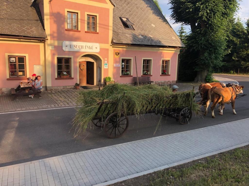 Penzion U Suchanku Mezimesti Exteriér fotografie